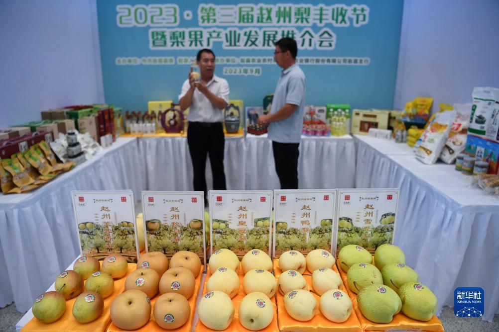 新金沙轮盘